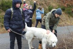 IMG_20240101_110400