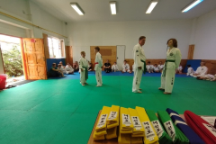 thumbnail_IMG_20230611_150631