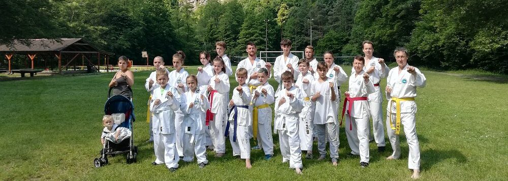 Škola TAEKWON-DO SAM-IL
