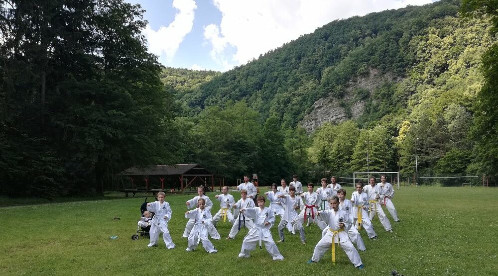 Škola TAEKWON-DO SAM-IL