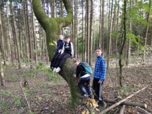 IMG_20241019_150758