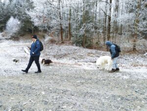 IMG_20250101_111305